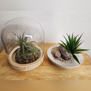 Succulent Terrarium and Planter Set